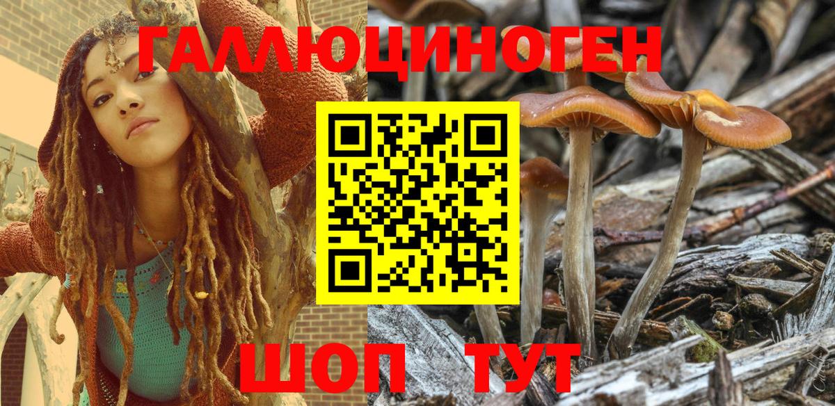 Галлюциногенные грибы MAGIC MUSHROOMS Борисоглебск