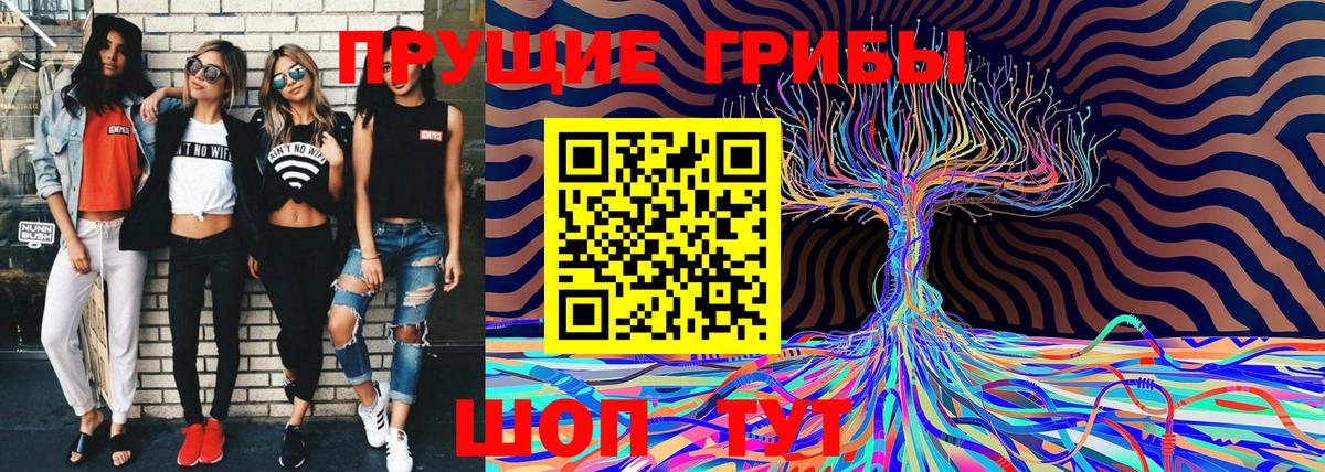 Галлюциногенные грибы мицелий  Вход с VPN  Борисоглебск 